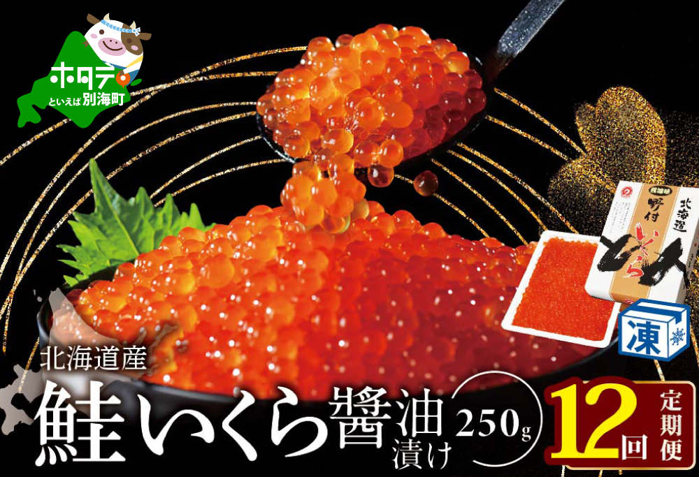 【12ヵ月 定期便】本場「北海道」 いくら 醤油漬け 計3kg【250g×1パック 12回 お届け】【NKM12NQ13】