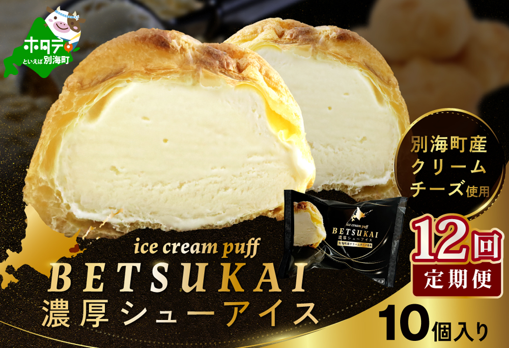 北海道 別海町 【12か月定期便】 BETSUKAI 濃厚 シューアイス 10個 セット【NSM120001】