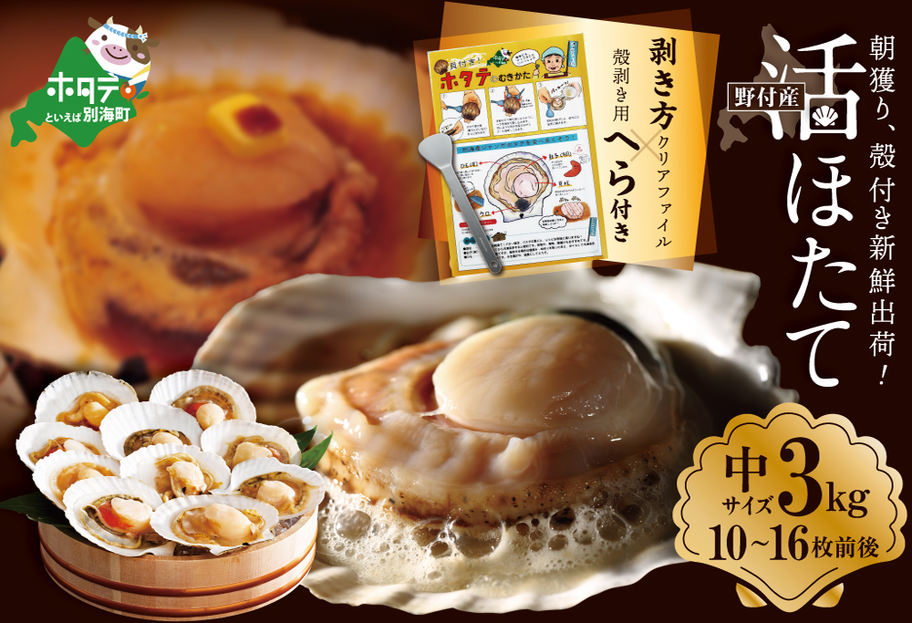 朝どり 新鮮出荷 活ホタテ 中サイズ 3kg活ほたて【UY0000015】