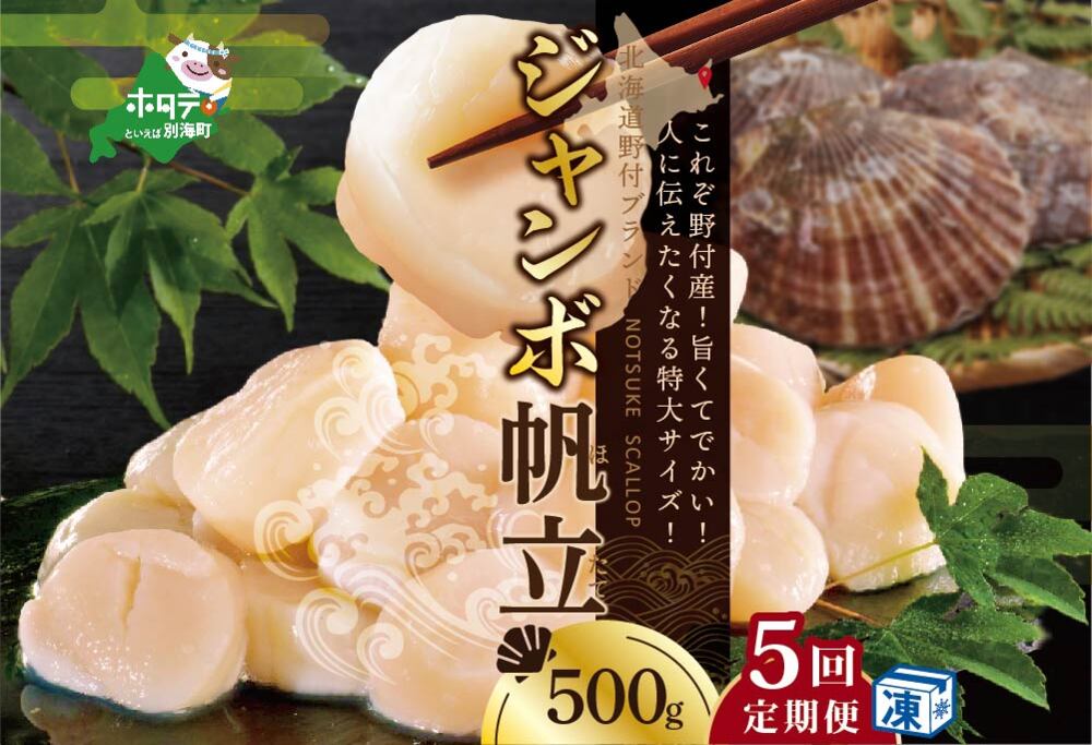 【毎月5ヶ月定期便】北海道 野付産  冷凍ホタテ 貝柱 ジャンボホタテ500g