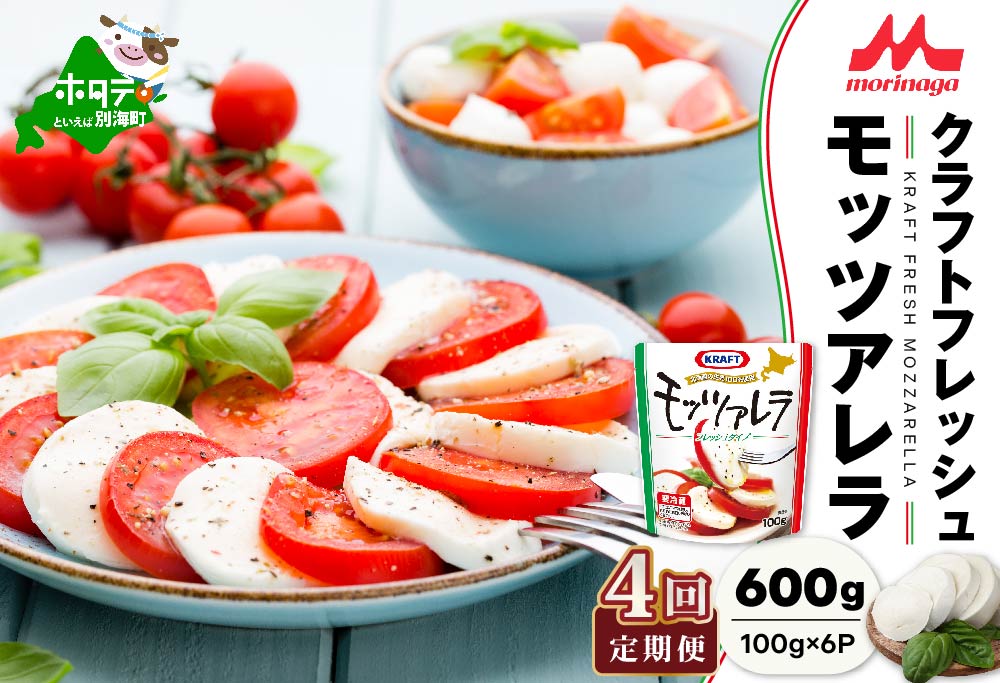 【チーズ 北海道 定期便】森永乳業 モッツァレラチーズ 600g 詰め合わせ (100g×6P) × 4ヵ月【全4回】（北海道産 詰合せ）