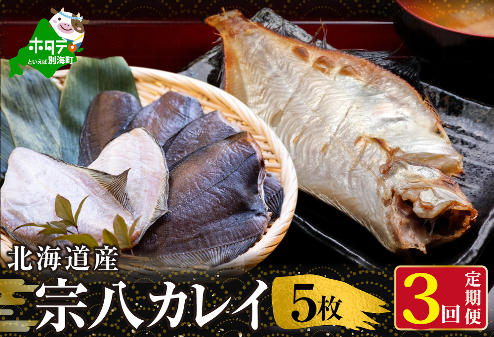 【定期便】北海道 産 一夜干し 宗八 カレイ 5枚 × 3ヵ月 【全 3回 】