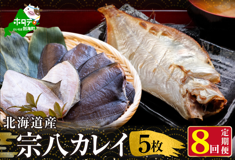 【定期便】北海道 産 一夜干し 宗八 カレイ 5枚 × 8ヵ月 【全 8回 】