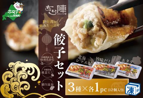 北海道産 旨みたっぷり 野付湾 北海シマエビ餃子12個( 12個入り×1pc) ホタテ餃子12個( 12個入り×1pc) 旨味だし餃子12個(12個入り×1pc)【AJ0000107】