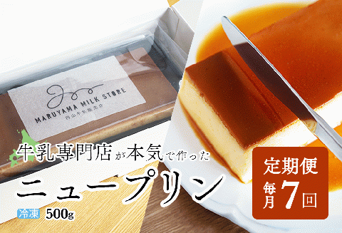 【定期便】濃厚プリン　New Pudding（ニュープディング）（500g×1本）×7ヶ月【be152-0931-100-7】