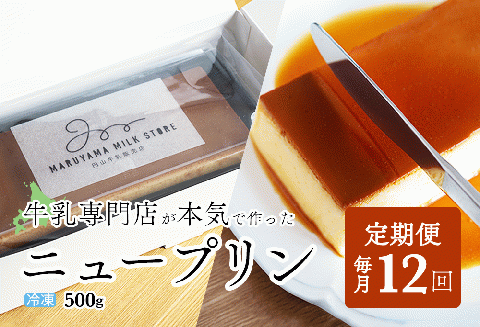 【定期便】濃厚プリン　New Pudding（ニュープディング）（500g×1本）×12ヶ月【be152-0931-100-12】