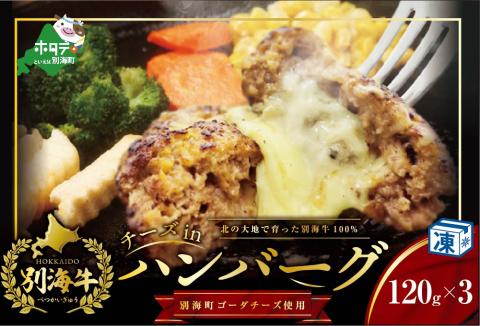 ハンバーグ！【別海牛100%と別海町ゴーダチーズ】チーズがとろける!別海チーズインハンバーグ(120g×3個)【be046-0843】