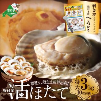 朝どり 新鮮出荷 活ホタテ 特大 3kg前後(10枚前後)　北海道 野付産 食べ応え抜群【UY0000013】