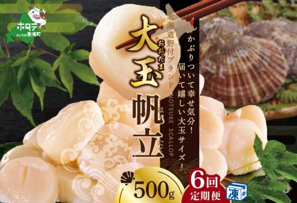 [毎月6ヶ月定期便]北海道 野付産 冷凍ホタテ貝柱 届いて嬉しい 大玉 ホタテ 500g 全 6回