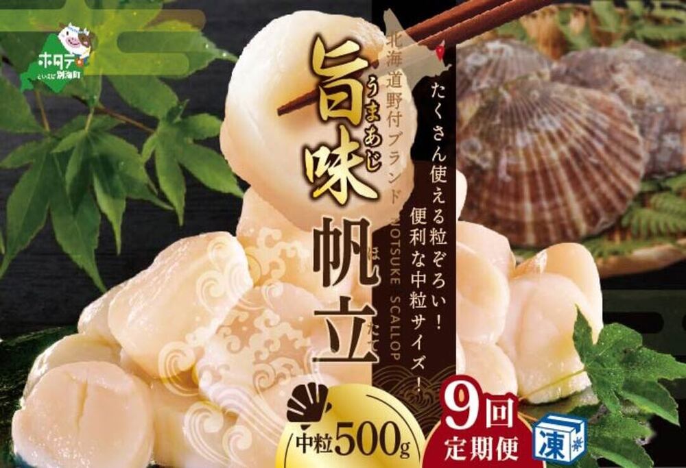 [ 毎月9ヶ月定期便 ]北海道 野付産 冷凍ホタテ 料理に使いやすい 中粒 ホタテ 500g 全 9回 水産事業者支援