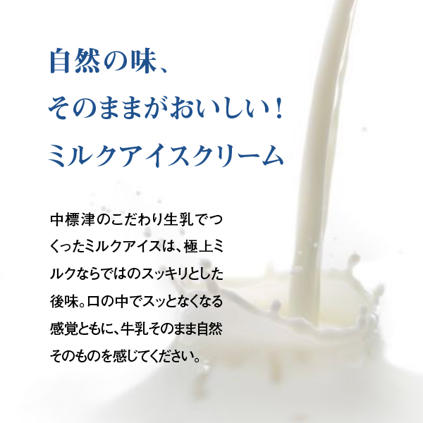 【無添加】北海道 プレミアム アイスクリーム（ミルク）10個 アイス ミルク【1111401】