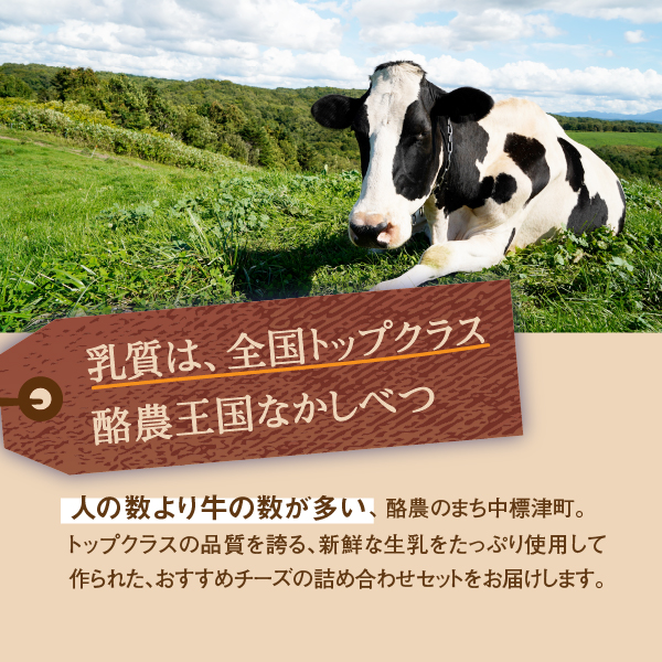 北海道 なかしべつ オリジナルチーズセット1.38kg【1402002】