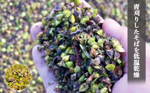 【オーガニック】上原農場 有機原料 そばの実1kg（500g×2）【30002】