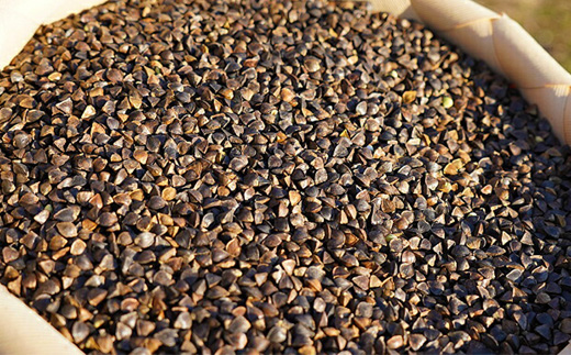 【オーガニック】上原農場 そば打ちセット（そば粉2kg 打ち粉500g）【30003】