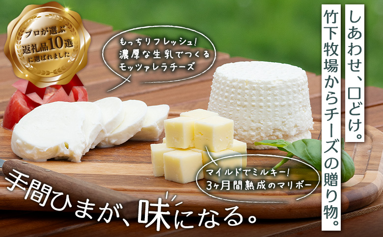 竹下牧場まるごとチーズセット【2400101】 単品(1回配送)