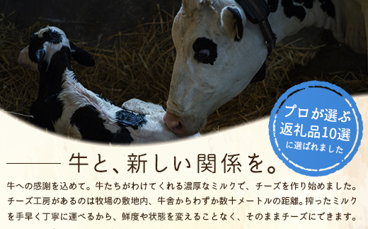 竹下牧場 takeshita farm【定期便３ヶ月】まるごとチーズセット 計560g【2400201】 定期便(3回配送)