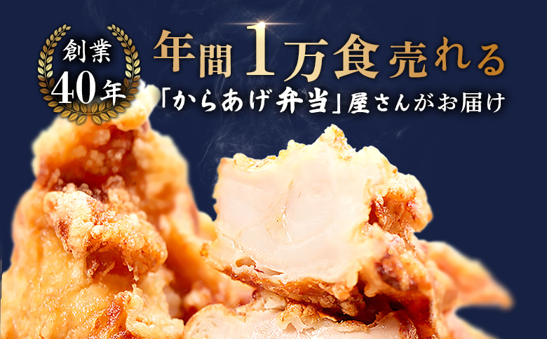 【レンジで簡単】鶏のからあげ もも肉600g（300g×2パック）【3500301】