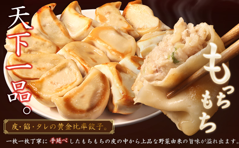 【ANA限定】【なかしべつミルキーポーク100％使用】 樹苞 お城餃子48個（約12人前）【53021】