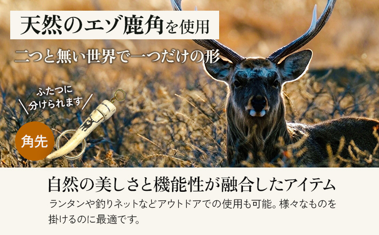 鹿の角　10本 シカの角 10本 鹿の角 中古