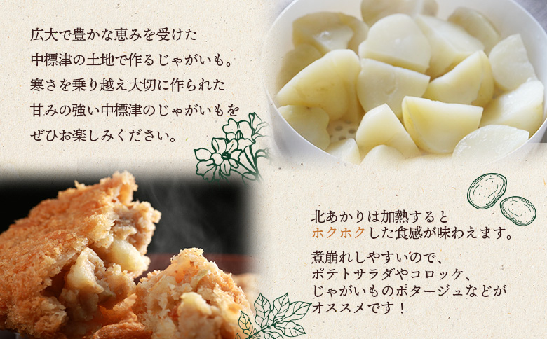 上原農場直送　じゃがいも（北あかり） 10kg【S～2Lサイズ混合】【6600401】