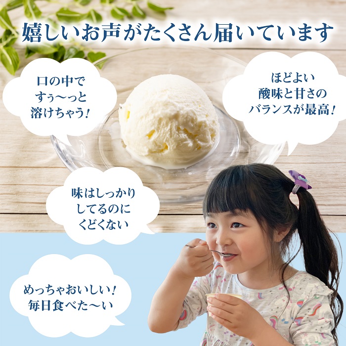 北海道 プレミアムミルクアイスクリーム×11個とフローズンヨーグルト×11個セット計２２個　12ｶ月定期便【11158】