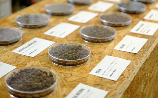 ONUKI COFFEE水出しコーヒーパック25g×10個【2700501】