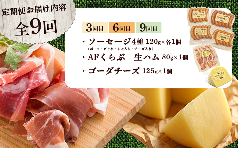 【定期便：全9回】 チーズ・ハム・ソーセージ 北海道 AFくらぶ 8種よくばりセット【17015】