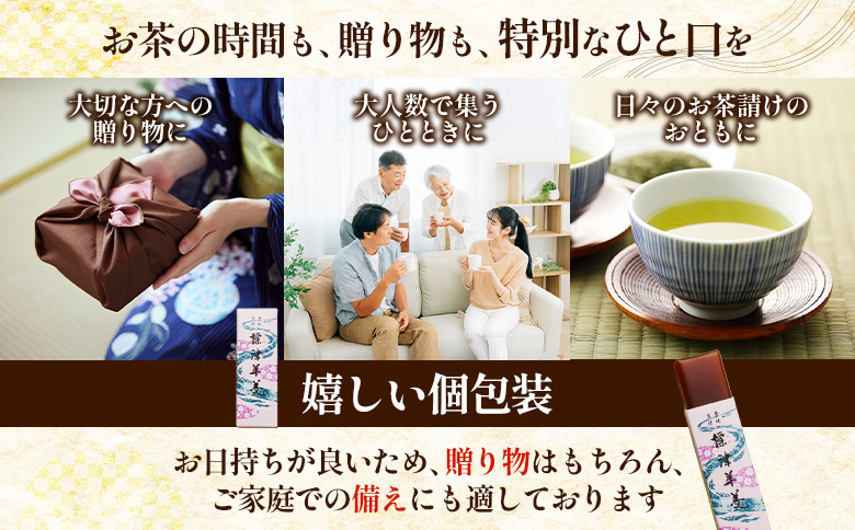 【選べる本数＆お届け回数！】標津羊羹 （一口サイズ） 50g ×12本 計600g【22012】 単品(50g ×12本)