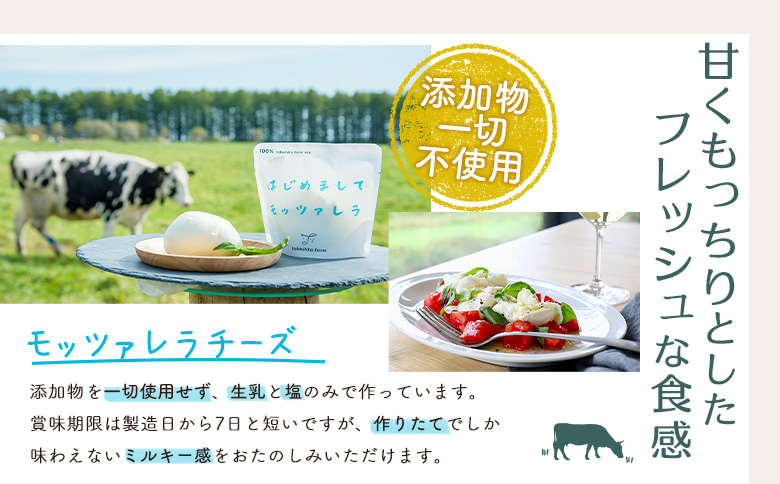 竹下牧場まるごとチーズセット【2400101】 単品(1回配送)