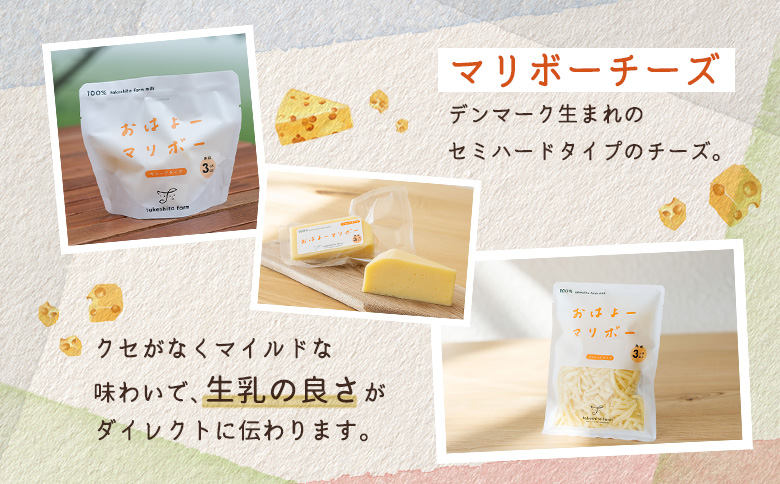 竹下牧場 takeshita farm【3ヶ月配送】マリボーチーズセット 計510g【2401501】 定期便(3回配送)