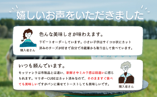 竹下牧場 takeshita farm【定期便9ヶ月】まるごとチーズセット 計560g【24024】 定期便(9回配送)
