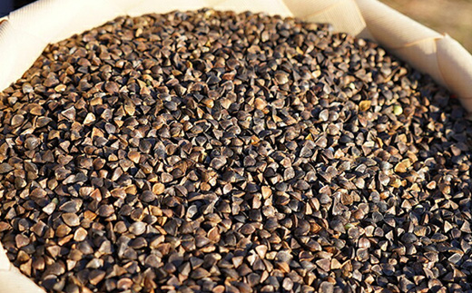 【定期便：全9回】【最果てそば】有機原料十割そば8人前（200g×4袋）【30019】