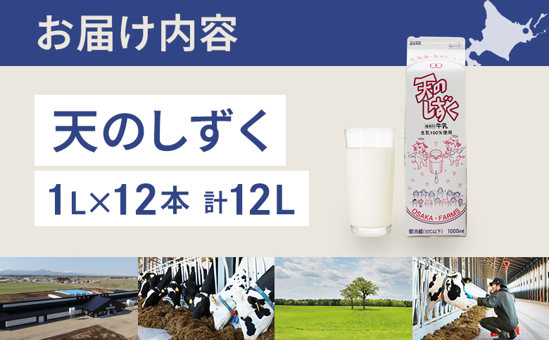 【ANA限定】 天のしずく 1L × 12本 計 12L【51009】