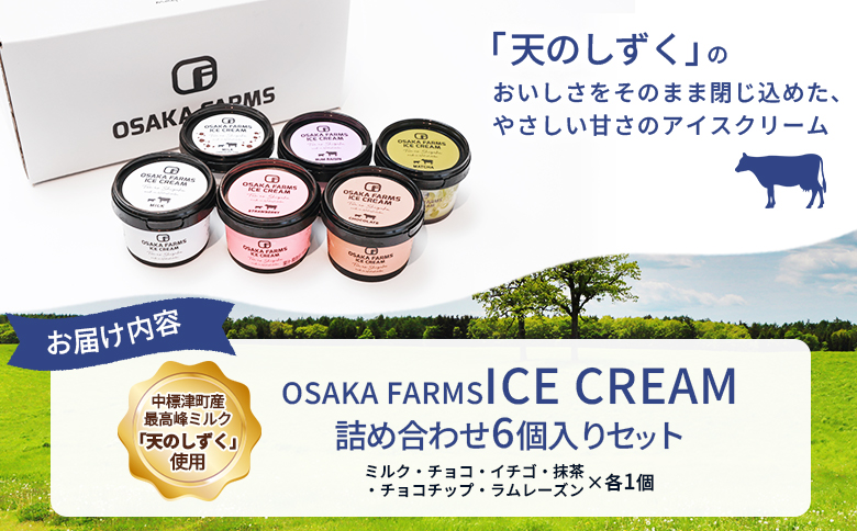 OSAKA FARMS ICE CREAM 詰め合わせ6個入りセット（ミルク・チョコ・イチゴ・抹茶・チョコチップ・ラムレーズン）各1個【51013】