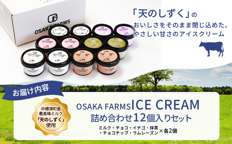 OSAKA FARMS ICE CREAM 詰め合わせ12個入りセット（ミルク・チョコ・イチゴ・抹茶・チョコチップ・ラムレーズン）6種×各2個【51014】