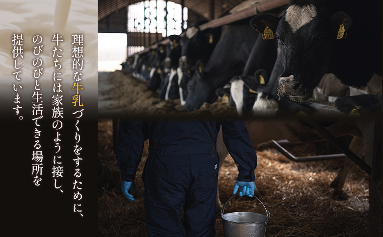 【Google口コミ星4.9の洋菓子店】極濃チーズサンド(4個入)×1　特選ギフト 味覚のふきだまり（13個入 計450g）【52011】