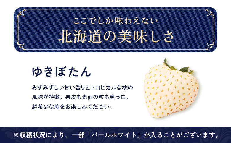【12月以降、随時発送！】【北海道産】ゆきいちご（白いちご）2Pセット 250g×2 計500g【59001】