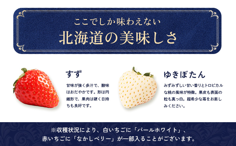 【12月以降、随時発送！】【北海道産】ゆきいちご（ゆきぼたん/すず）白×ＭＩＸ 2Pセット 各250g×2 計500g【5900201】