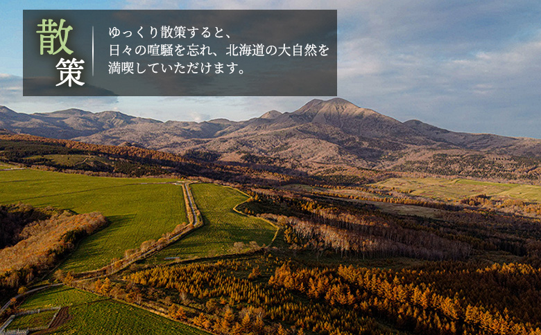 湯宿だいいち 宿泊補助券 10,000円分【63001】