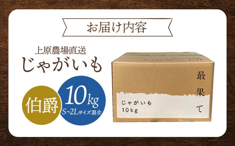 上原農場直送　じゃがいも（伯爵） 10kg【S～2Lサイズ混合】【6600301】