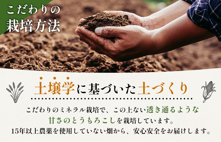 【2026年度発送分】上原農場直送 有機栽培とうもろこし (サニーショコラ) 約10kg 約20本前後【66020】