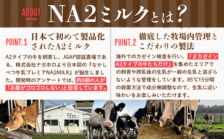 【定期便：全3回】なかしべつ牛乳プレミアム NA2 MILK 1000ml×12本【14032】 【定期便：全3回】NA2 MILK 1L×12本