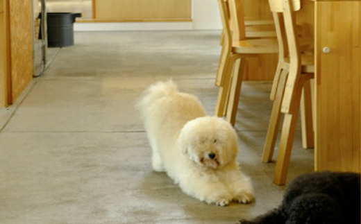 ONUKI COFFEE水出しコーヒーパック25g×10個【2700501】