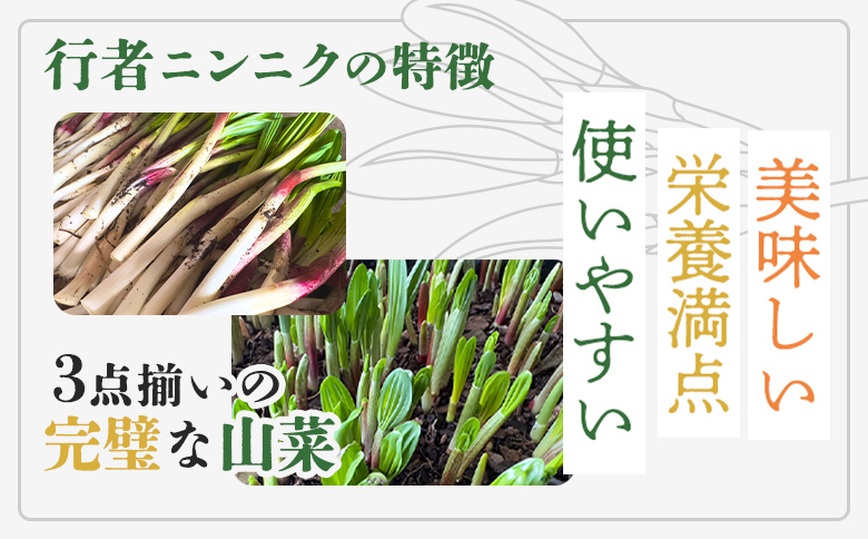 行者にんにく入りいももち300g×6袋【20009】