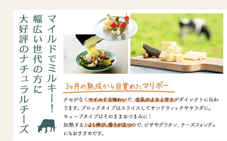 竹下牧場まるごとチーズセット【2400101】 単品(1回配送)