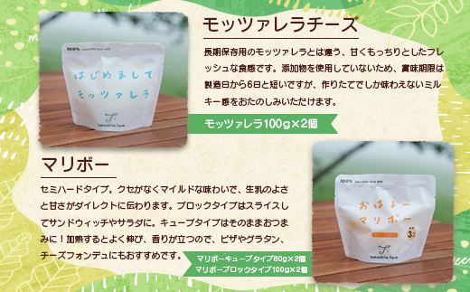 竹下牧場 takeshita farm【定期便9ヶ月】まるごとチーズセット 計560g【24024】 定期便(9回配送)