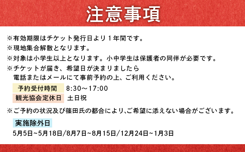 世界チャンピオンから教わるバルーンアート体験チケット(１組分)【32026】