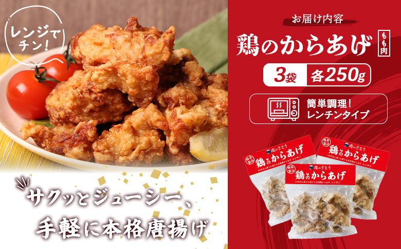 【レンジで簡単】鶏のからあげ もも肉750g（250g×3パック）【3500602】