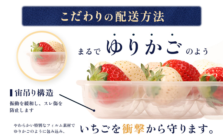 【12月以降、随時発送！】【北海道産】ゆきいちご（白いちご）2Pセット 250g×2 計500g【59001】