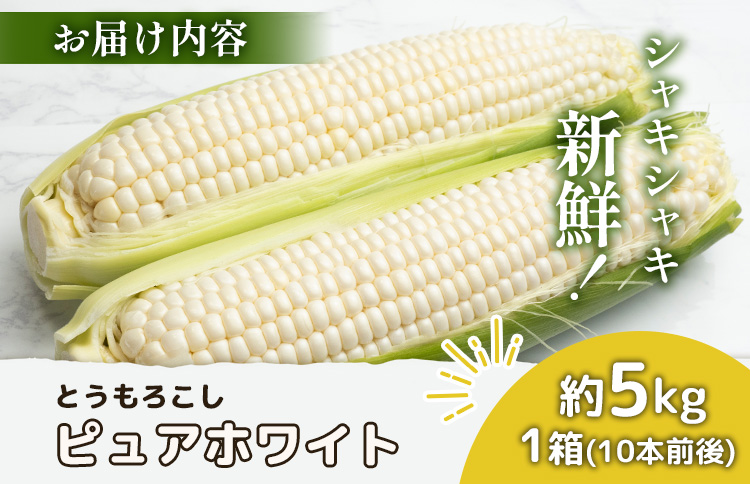【2026年度発送分】上原農場直送　有機栽培とうもろこし (ピュアホワイト) 約5kg 約10本前後【66016】
